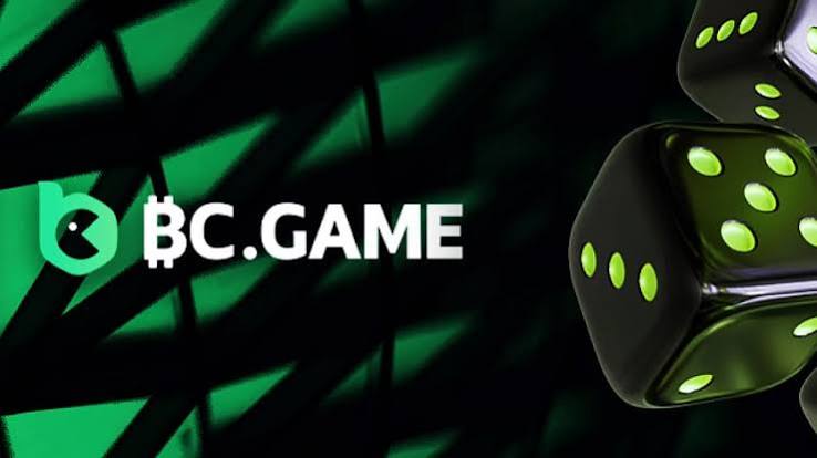 Explore the Exciting Features of the BC.Game Mobile App -333404994