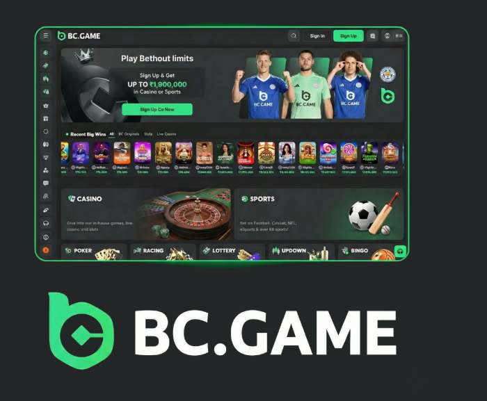 Explore the Exciting Features of the BC.Game Mobile App -333404994